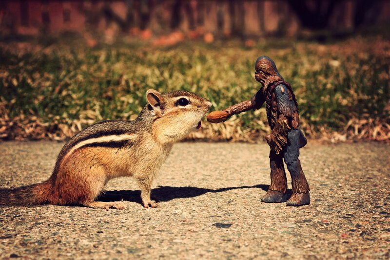 Chipmunk and Action Figure — Brown
