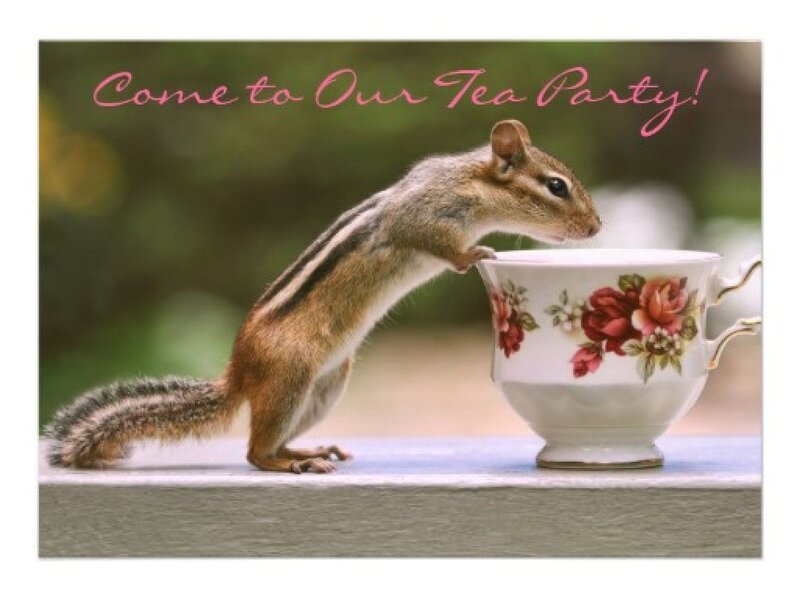 Chipmunk Drinking Tea