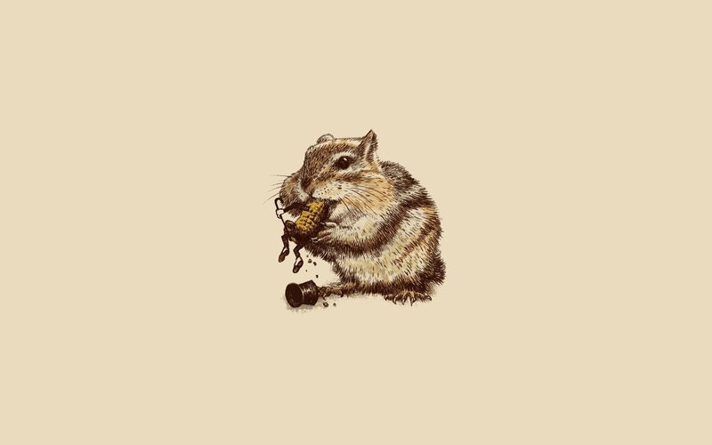chipmunk eating corn