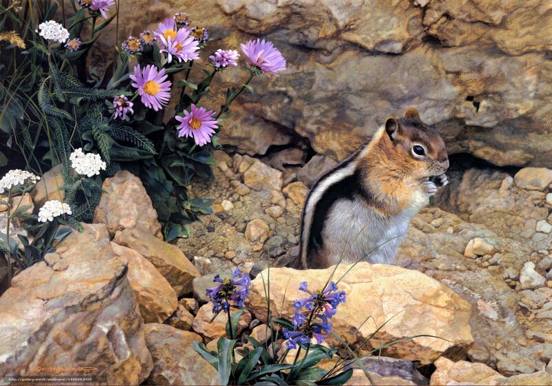 Chipmunk Eating Flower — Brown, Serene