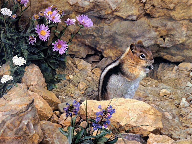 Chipmunk Eating Flower — Brown