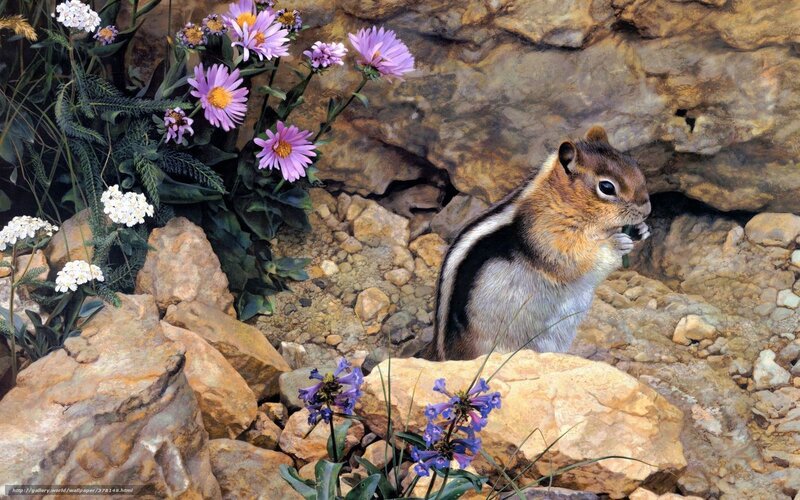 Chipmunk Eating Flower — Purple