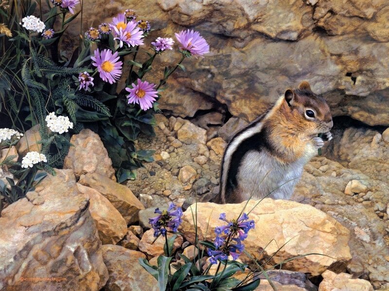 Chipmunk Eating Flowers