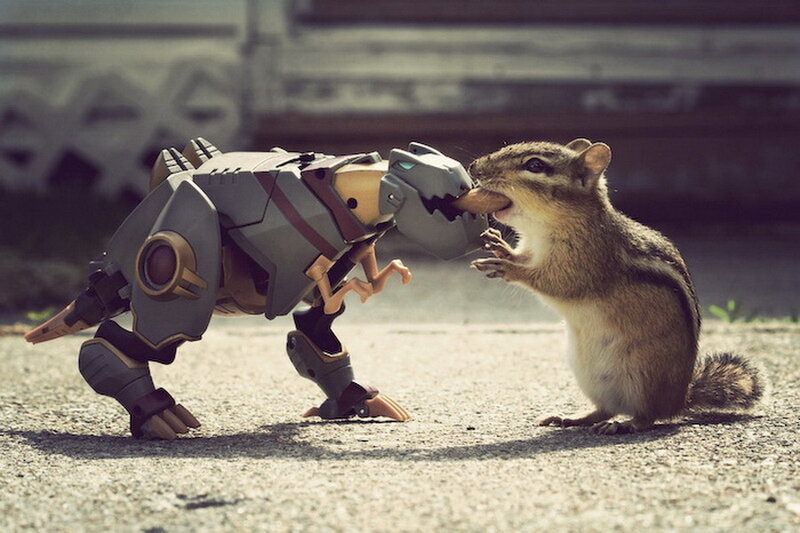 Chipmunk Eating Robot