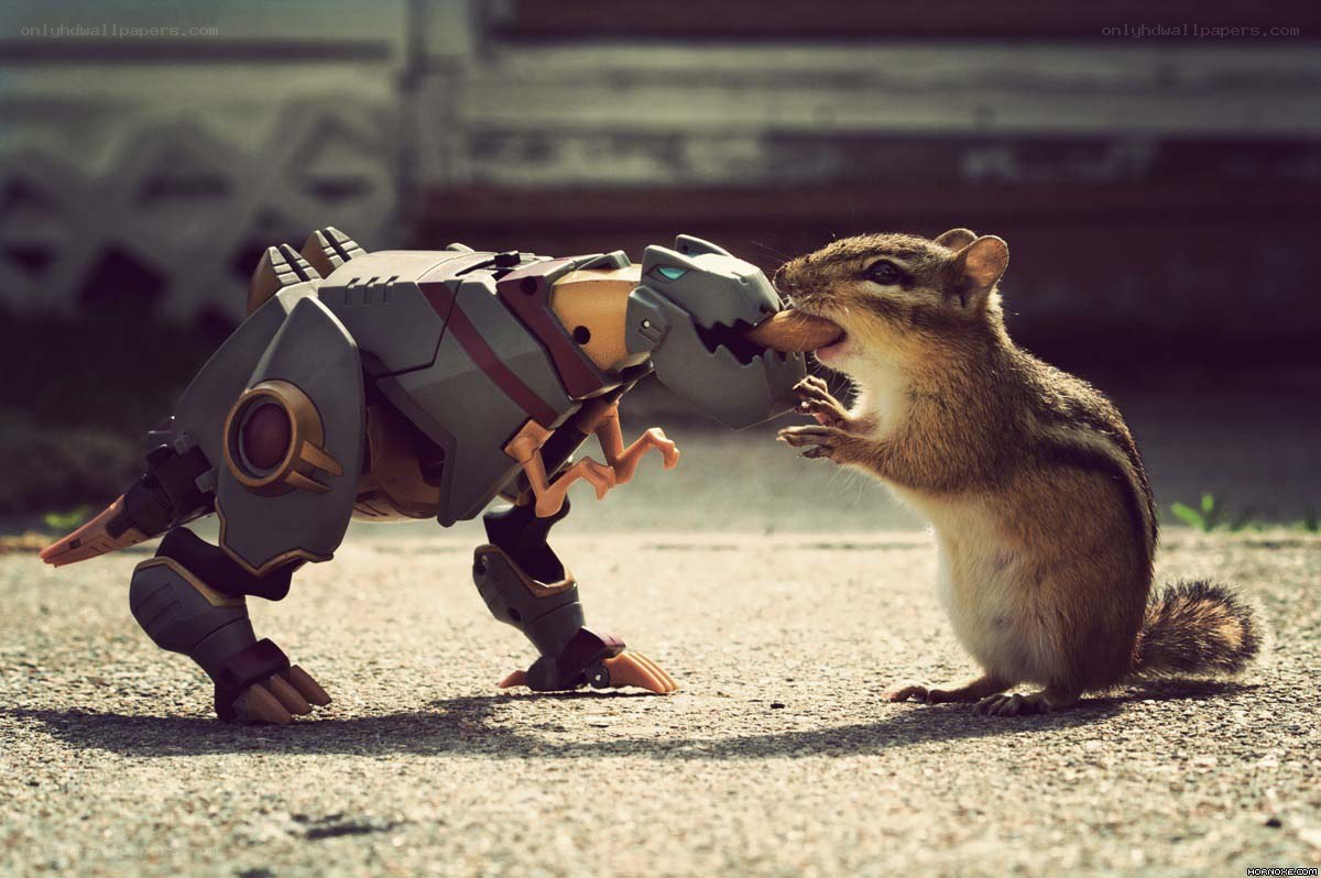 chipmunk eating robot toy