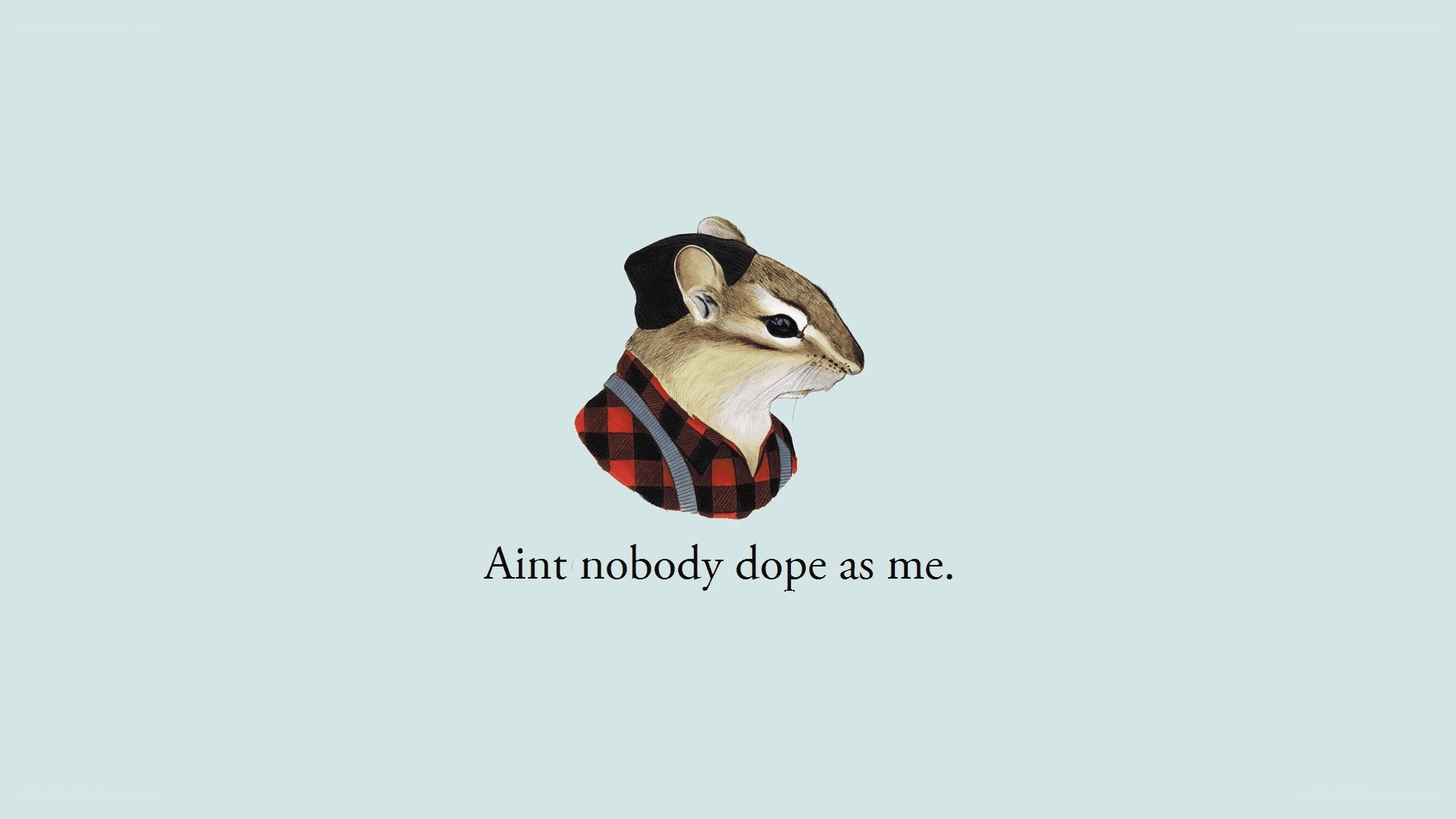 chipmunk in plaid shirt