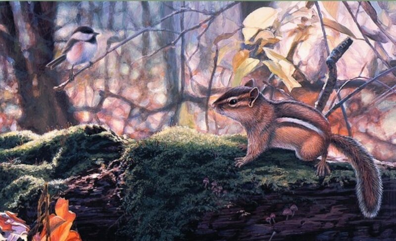 Chipmunk on Mossy Log