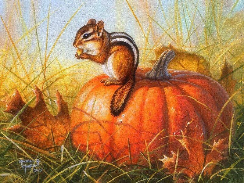 Chipmunk on Pumpkin — Orange, Peaceful