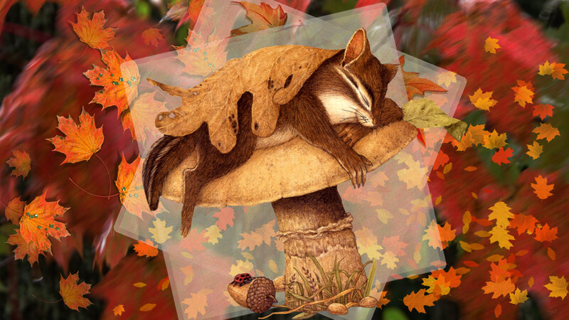 Chipmunk Sleeping on Mushroom