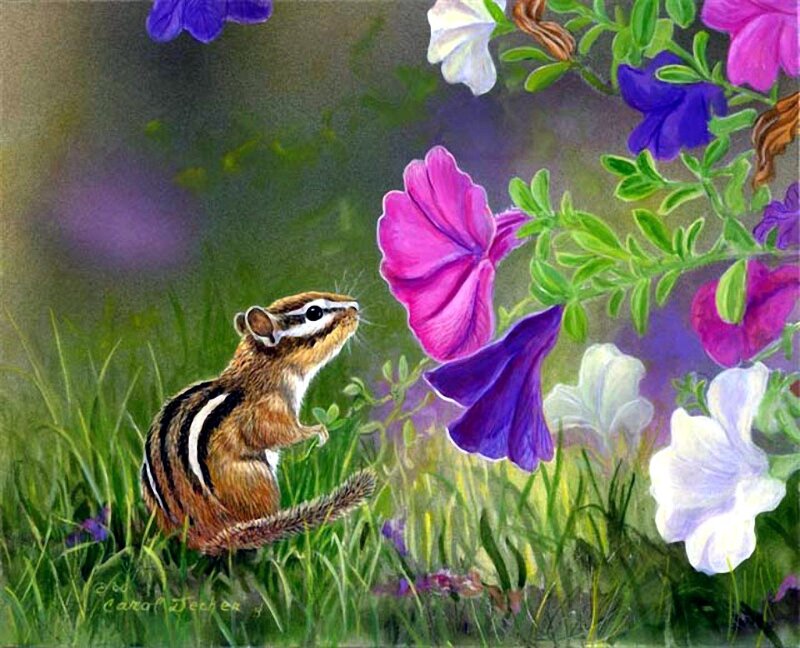 Chipmunk Smelling Flowers
