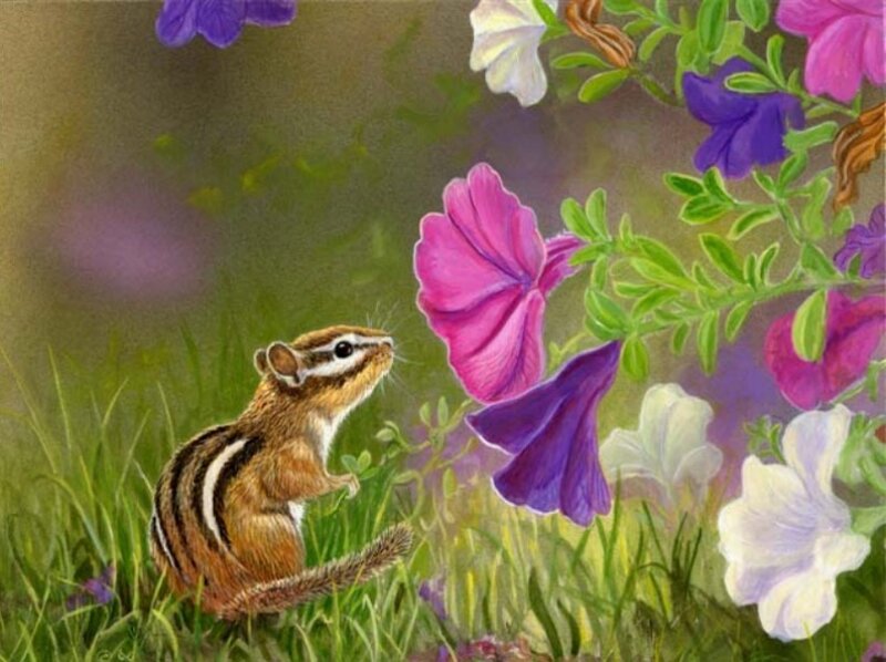 Chipmunk Sniffing Flowers