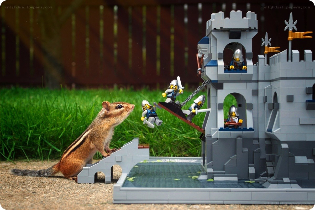 Chipmunk vs Lego knights