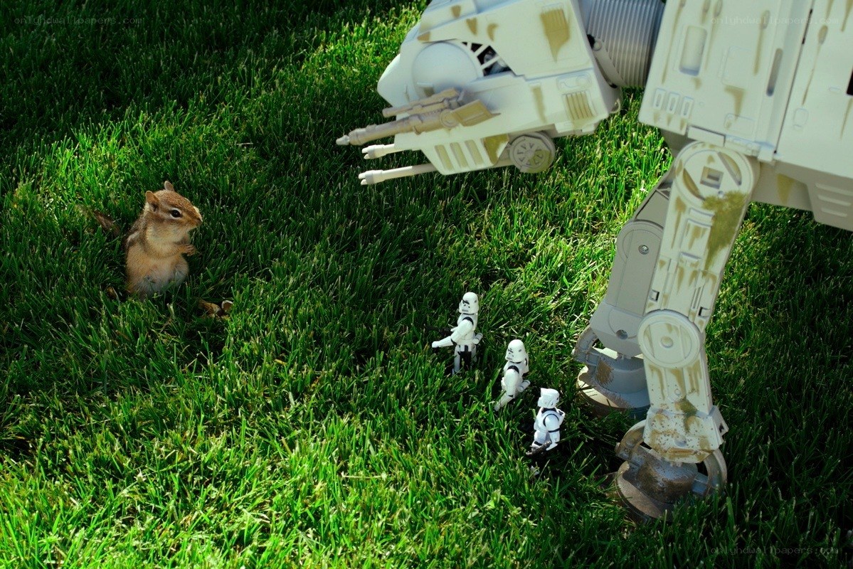 Chipmunk vs. Star Wars toys