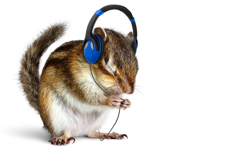 Chipmunk Wearing Headphones — Brown