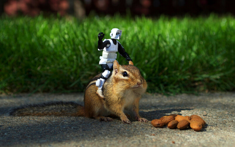 Chipmunk with Action Figure — Brown, Playful
