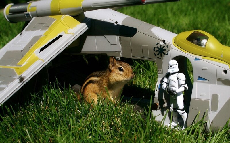 chipmunk with toy spaceship