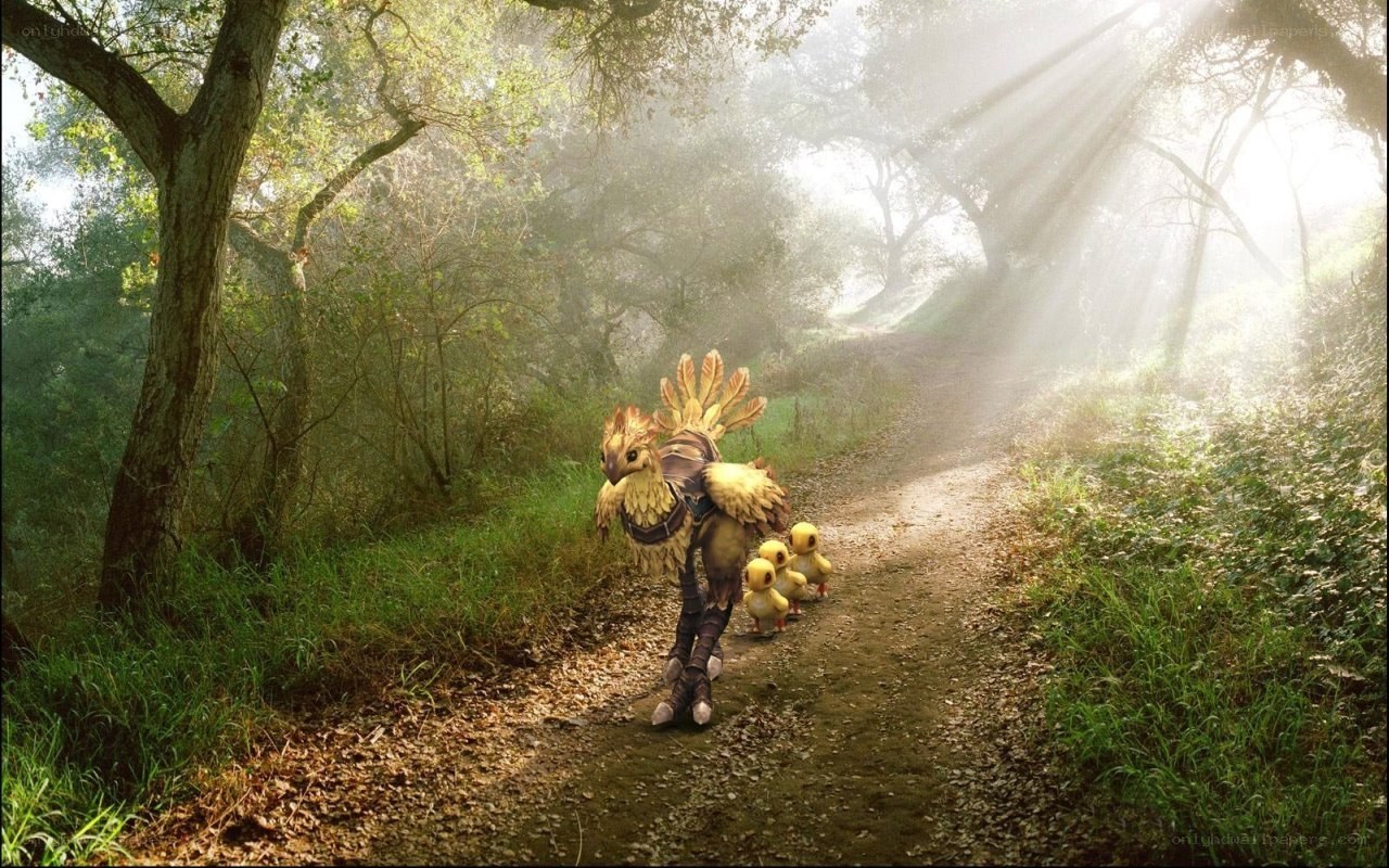 Chocobo family in forest