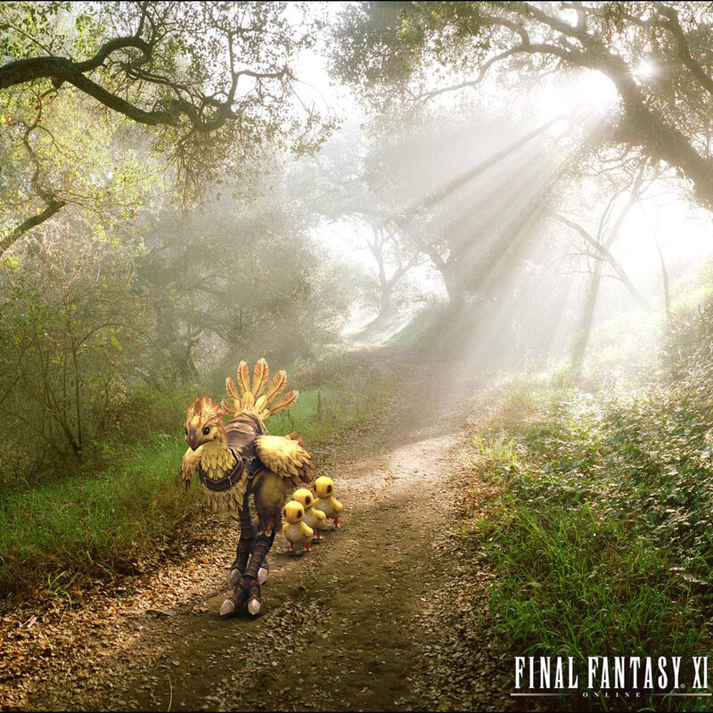Chocobo family in forest
