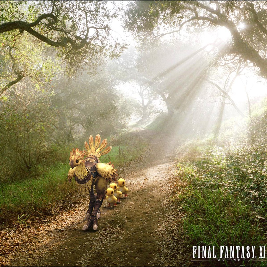 Chocobo family in forest