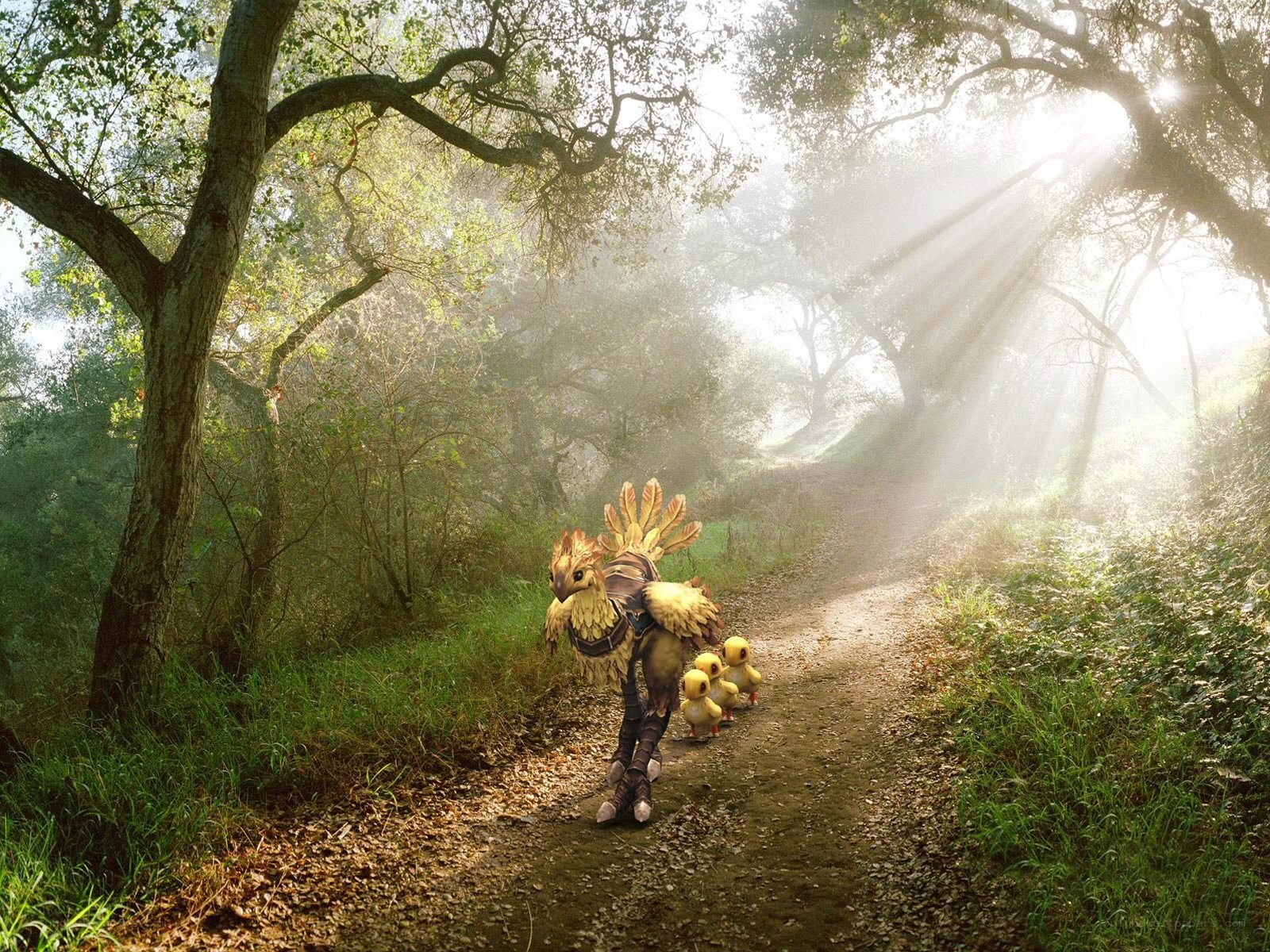 Chocobo family in forest