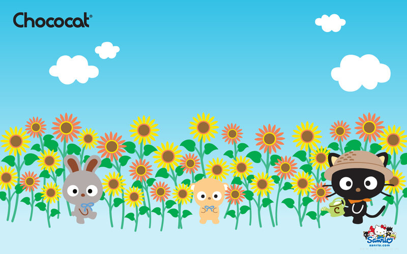 Chococat in Sunflower Field