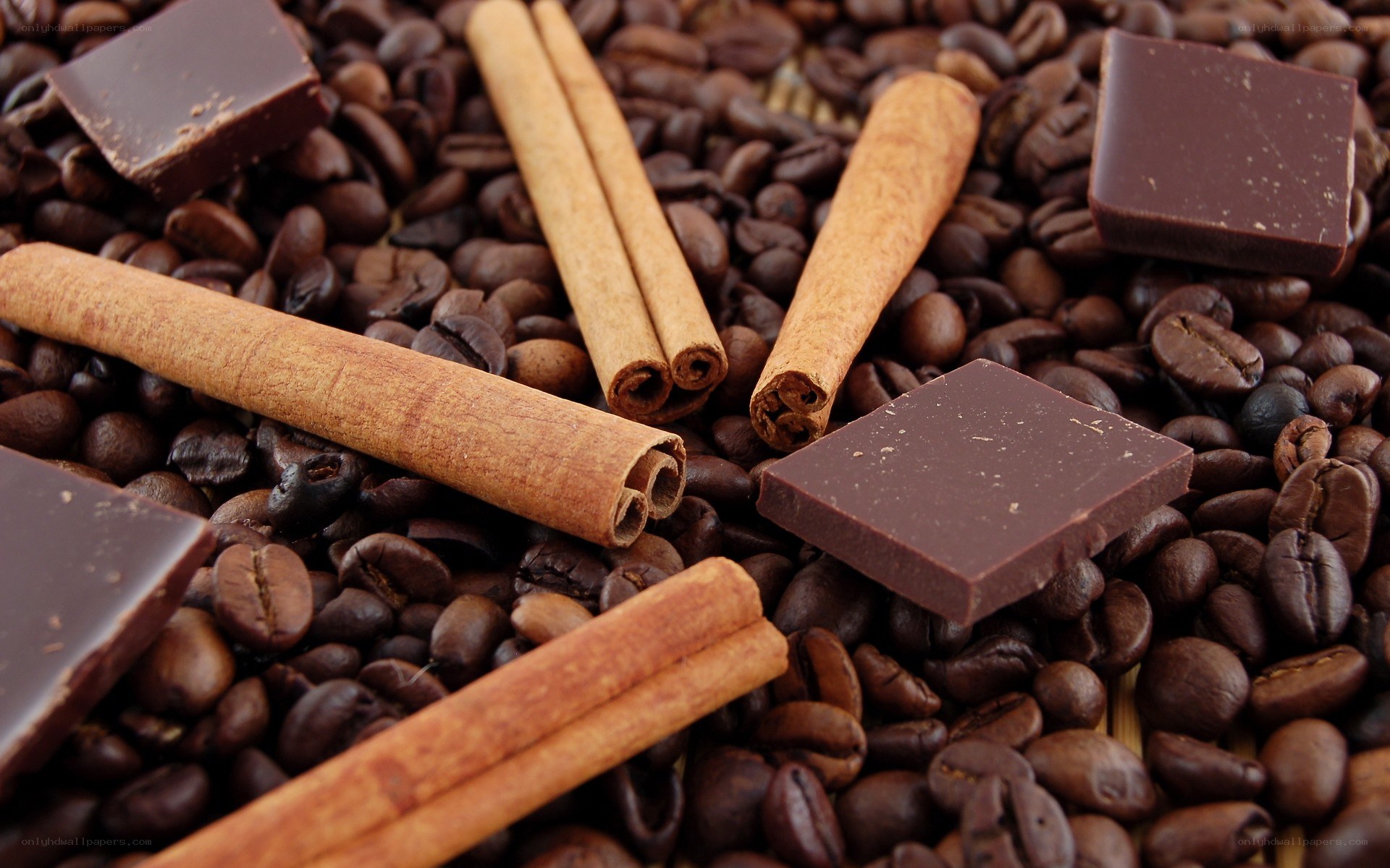 chocolate and cinnamon on coffee beans
