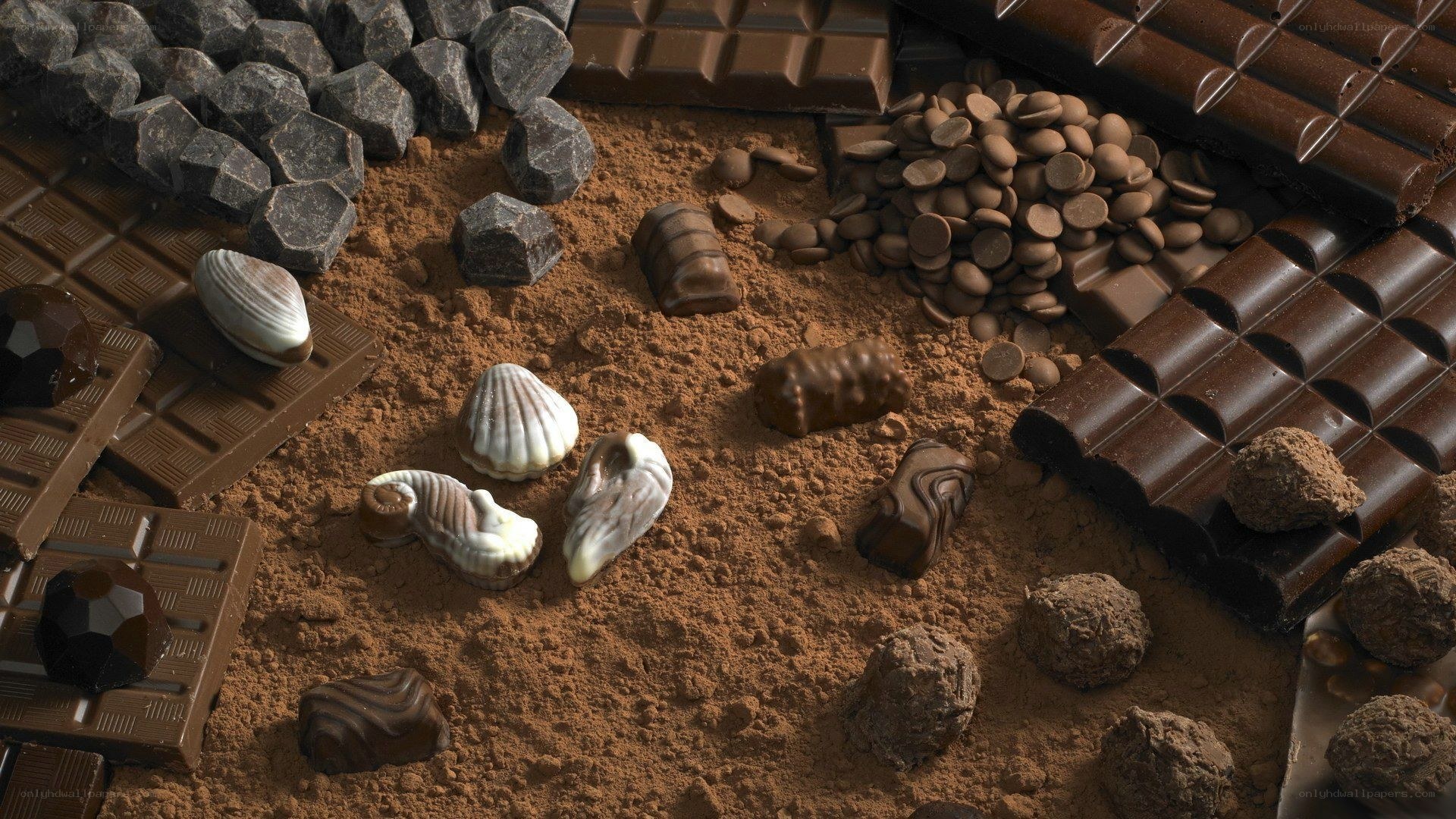 chocolate and cocoa powder display