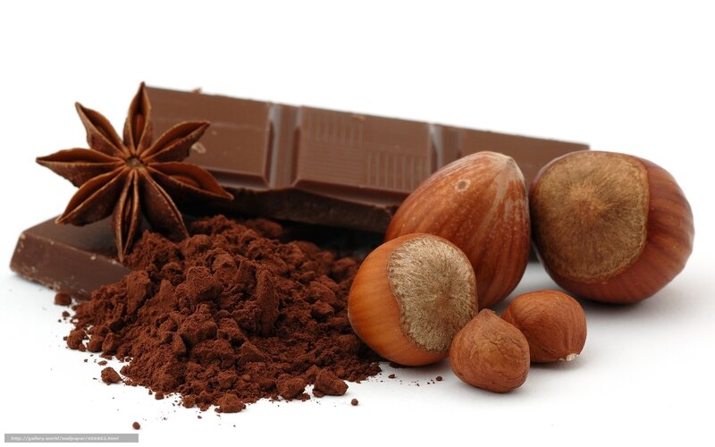 Chocolate and Hazelnuts — Brown, Neutral, Photograph, Cocoa Powder