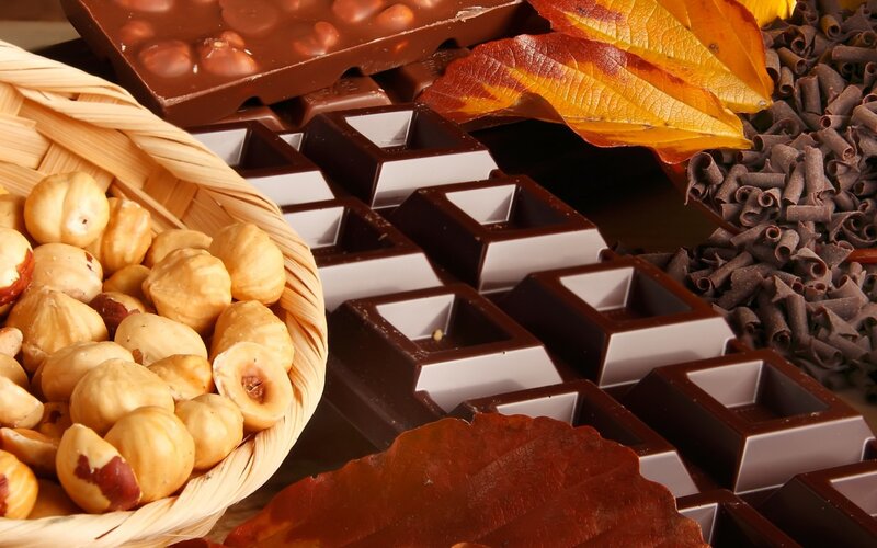 Chocolate and Hazelnuts — Brown, Warm