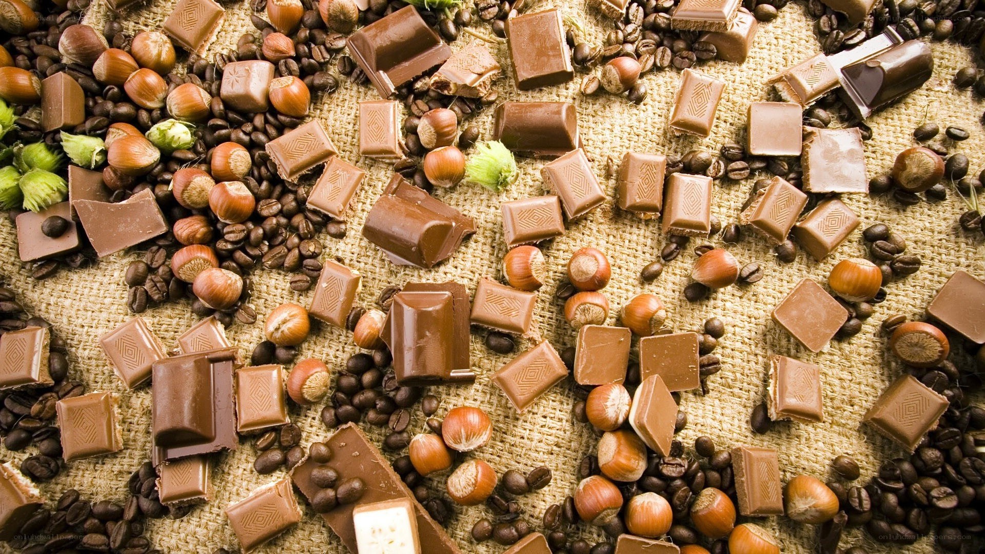 chocolate and hazelnuts on burlap