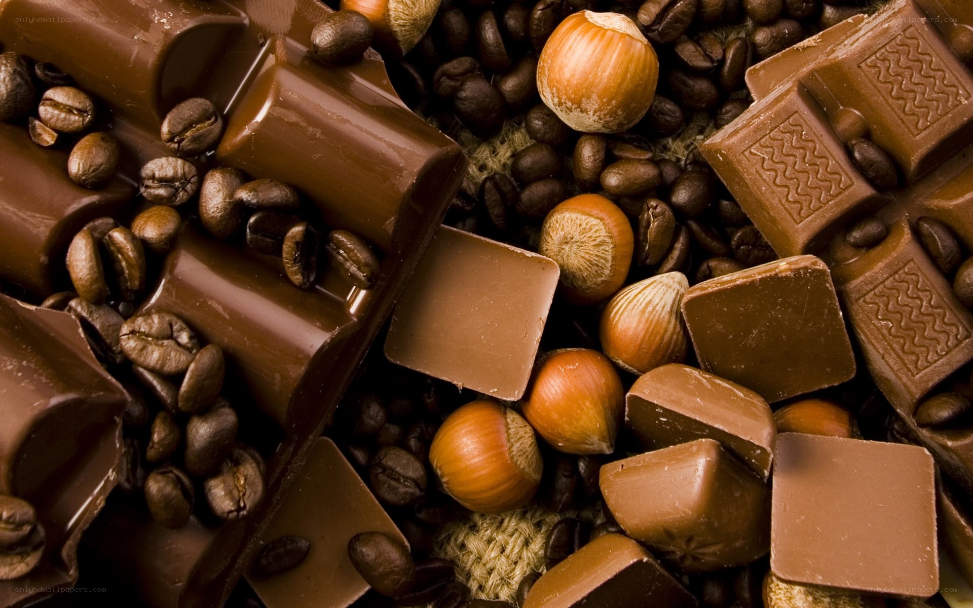 chocolate and hazelnuts with coffee beans