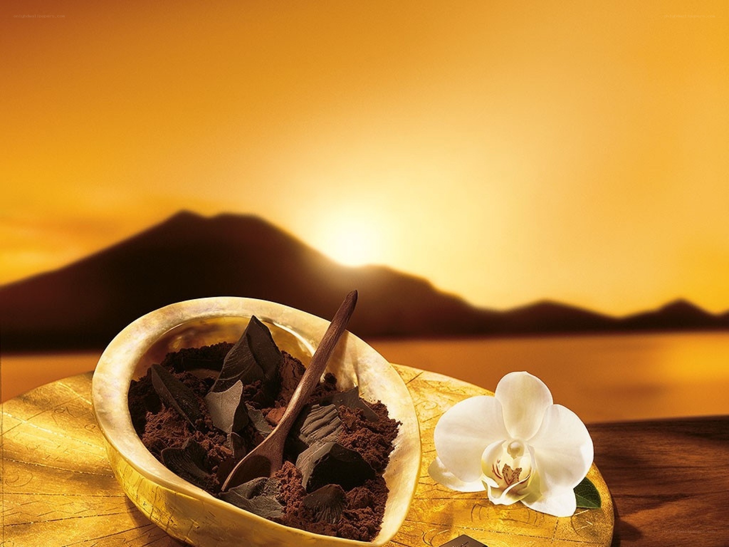 Chocolate and orchid at sunset