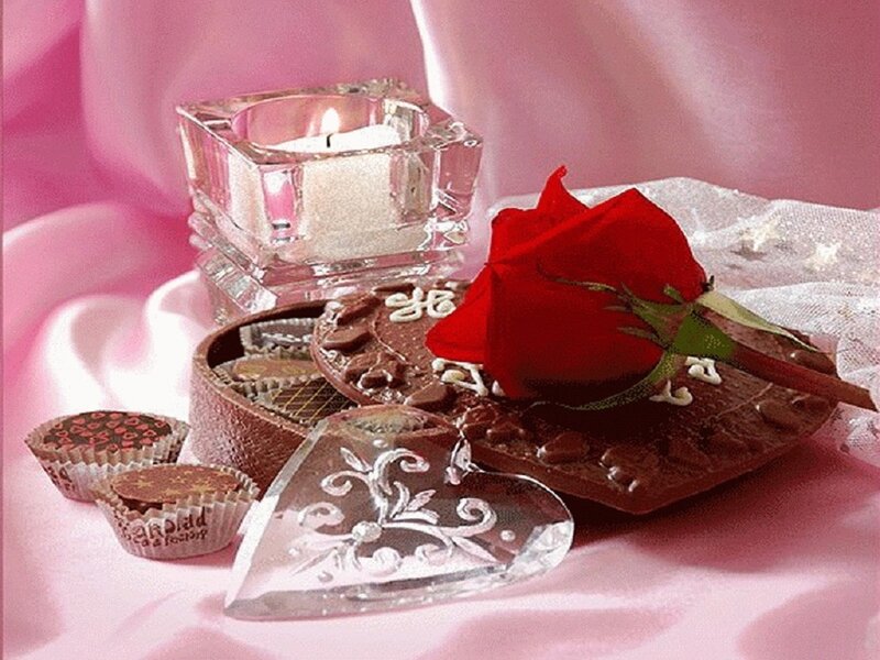 Chocolate and Rose on Fabric — Pink
