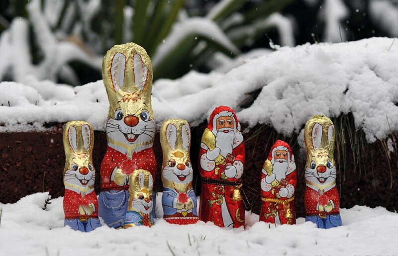 Chocolate Bunnies and Santa