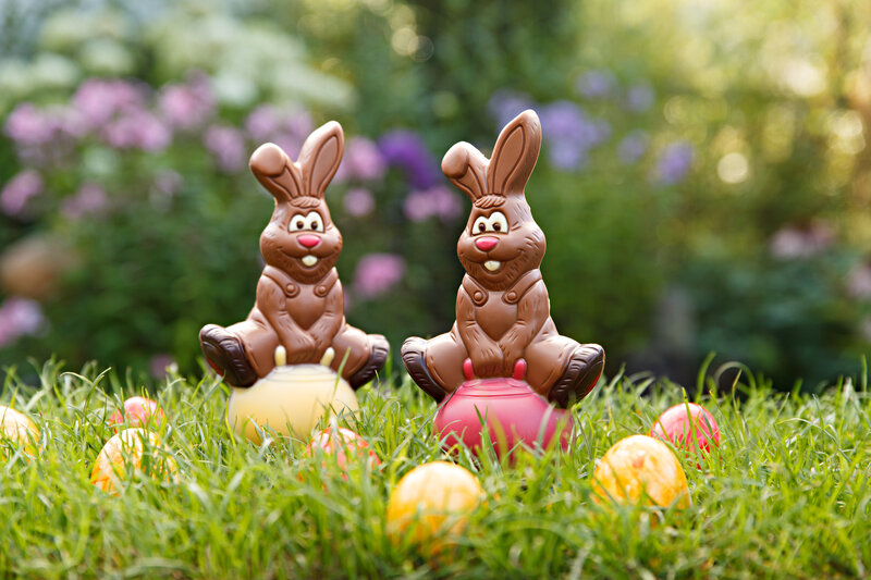 Chocolate Bunnies in Grass — Green