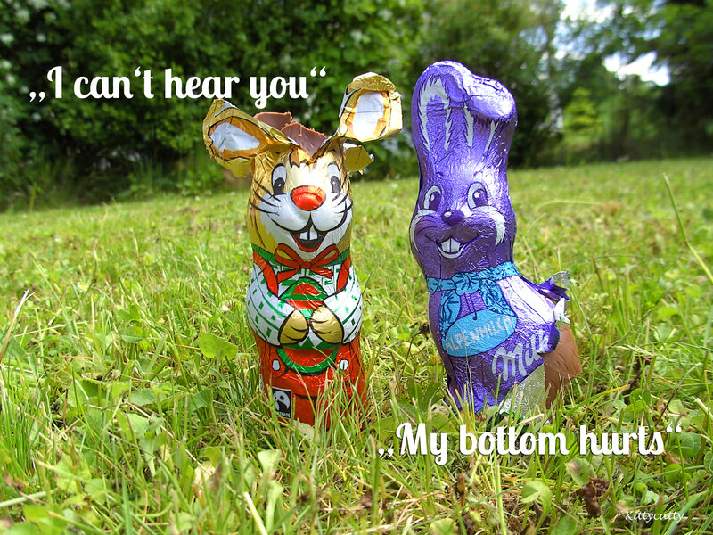 Chocolate Bunnies in Grass