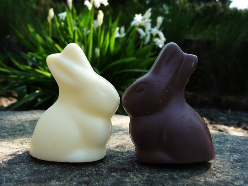 Chocolate Bunnies on Stone