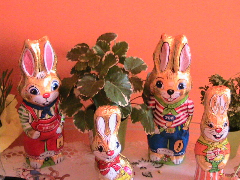 Chocolate Bunnies on Table