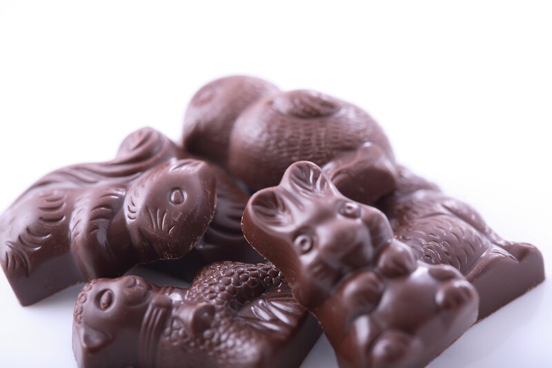 Chocolate Bunnies