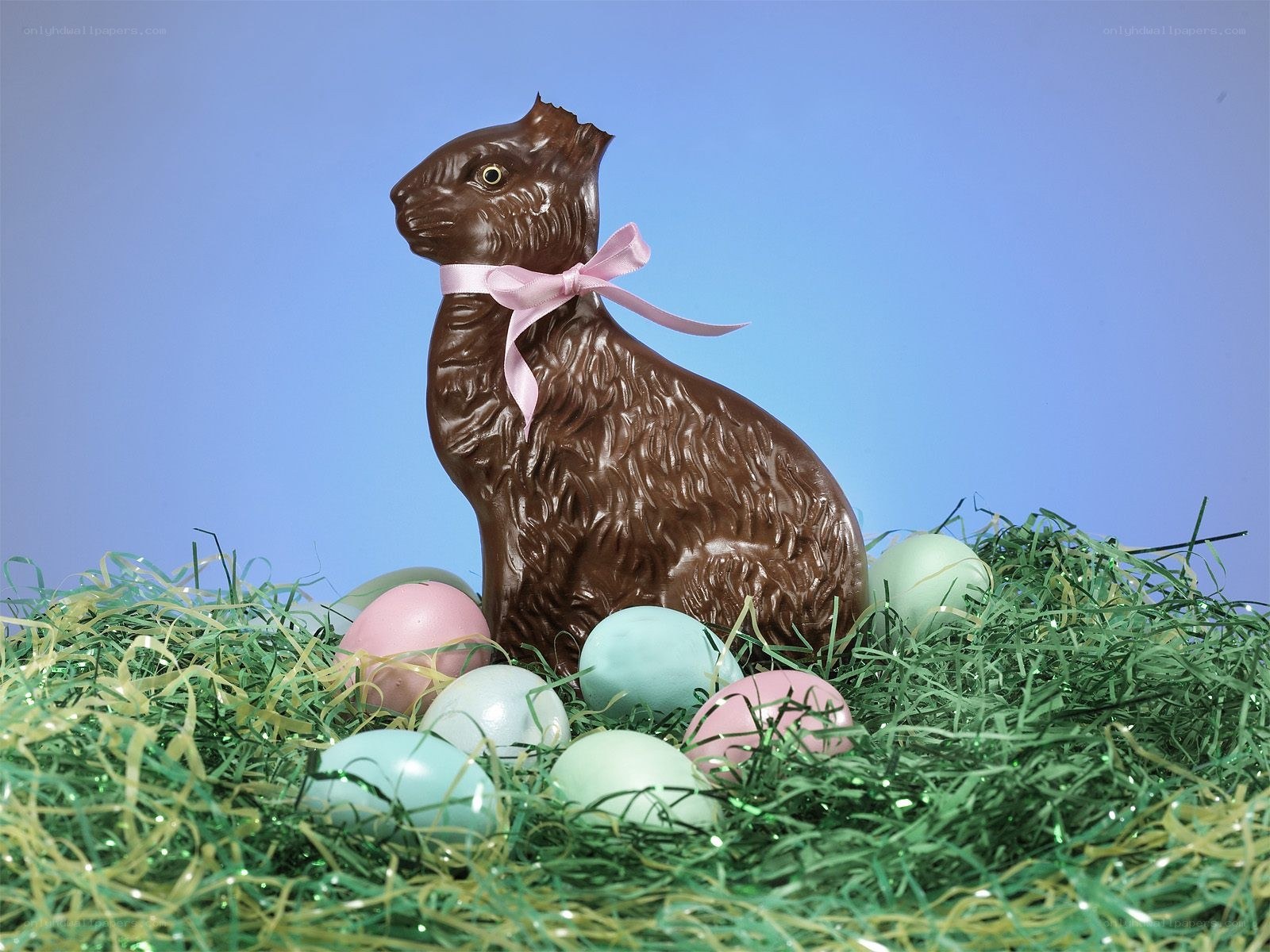 Chocolate bunny with Easter eggs