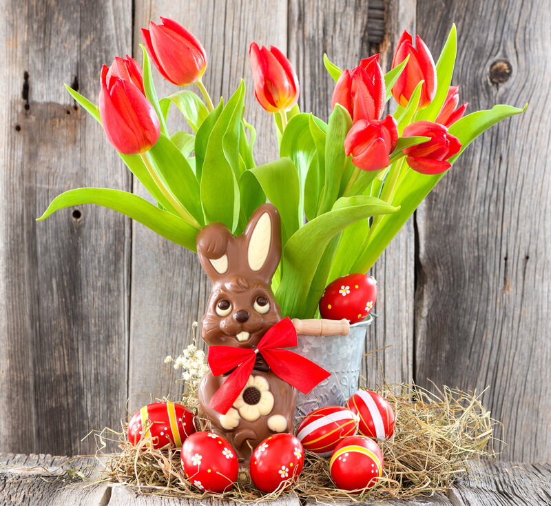 Chocolate Bunny with Tulips — Red
