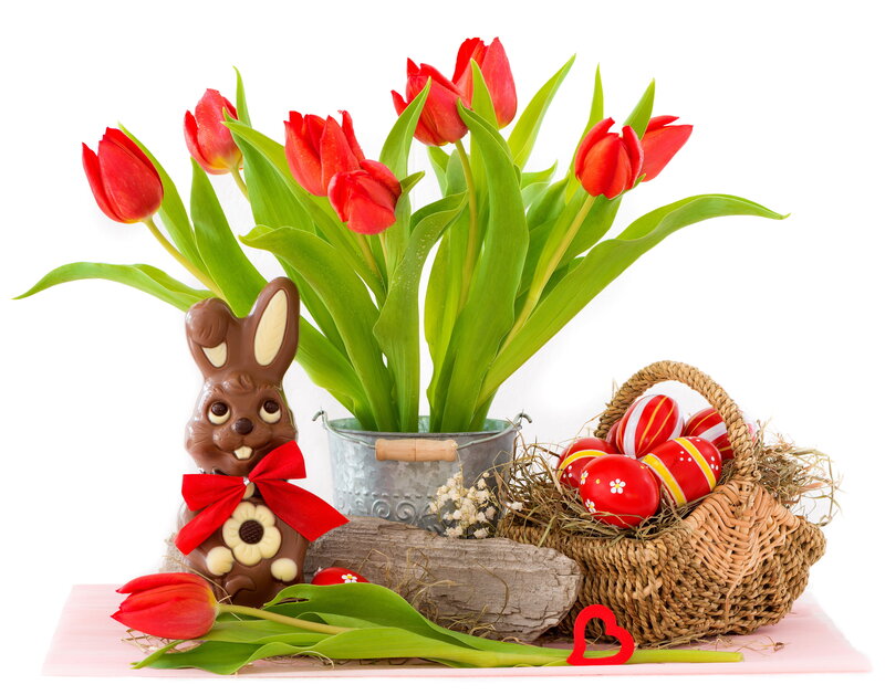 Chocolate Bunny with Tulips