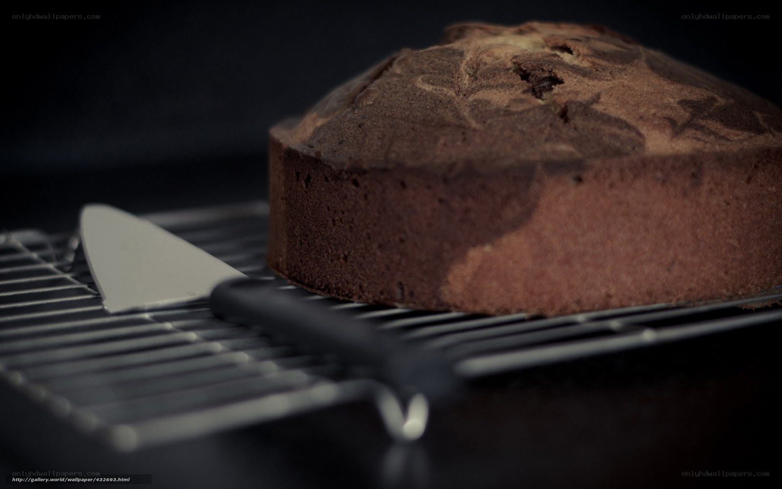 chocolate cake on cooling rack