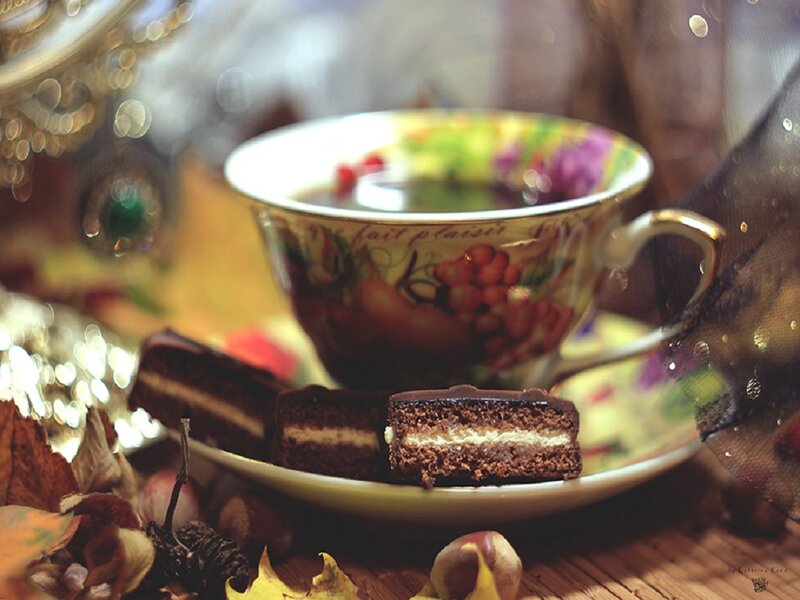 Chocolate Cake on Saucer