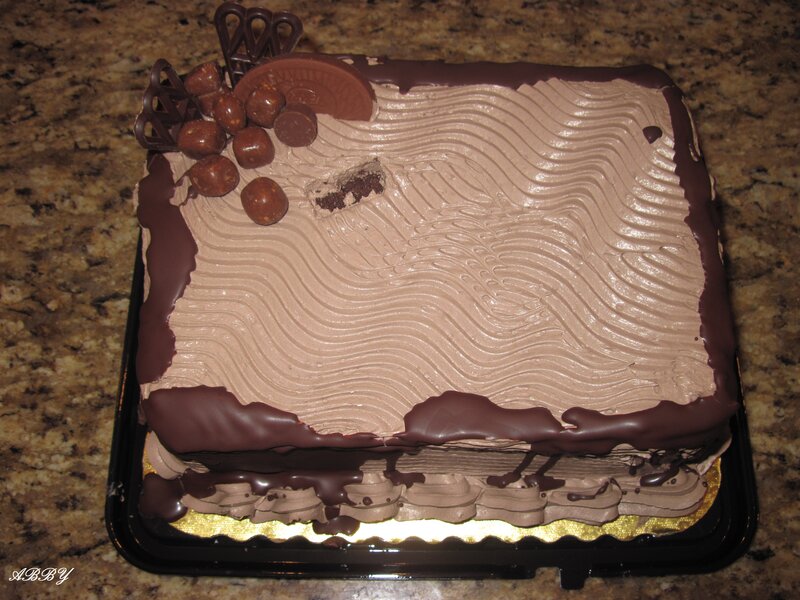 Chocolate Cake on Tray — Brown