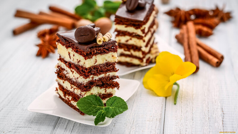Chocolate Cake Slice — Brown, Appetizing, Photograph, Cinnamon Sticks