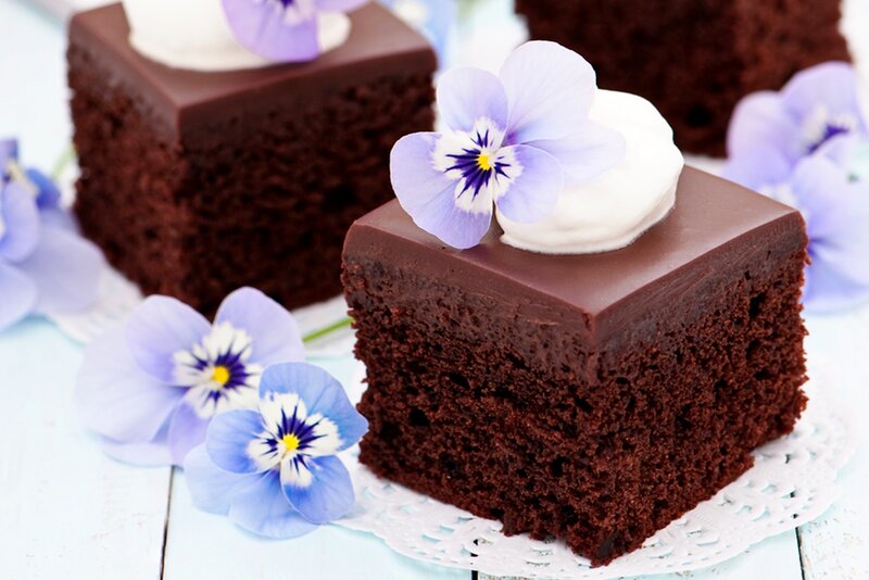 Chocolate Cake Slice — Brown, Delicate