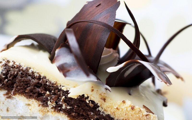 chocolate cake slice with garnish