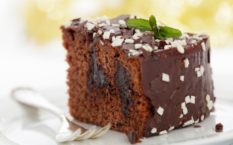chocolate cake slice with mint