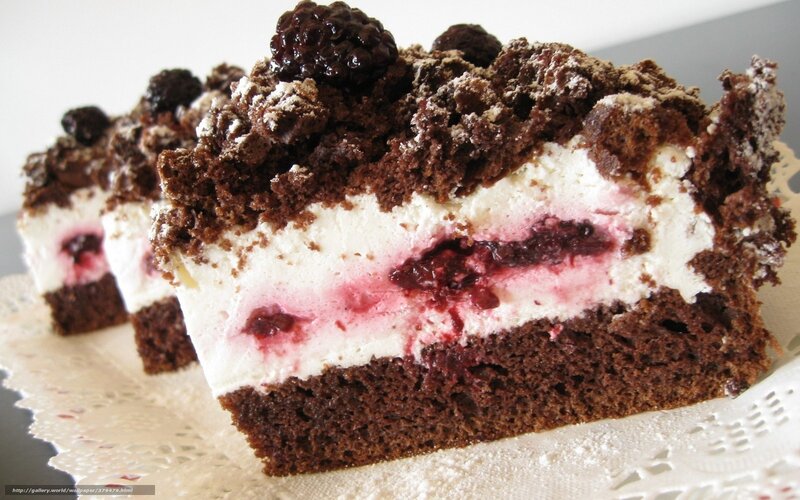 chocolate cake with berries